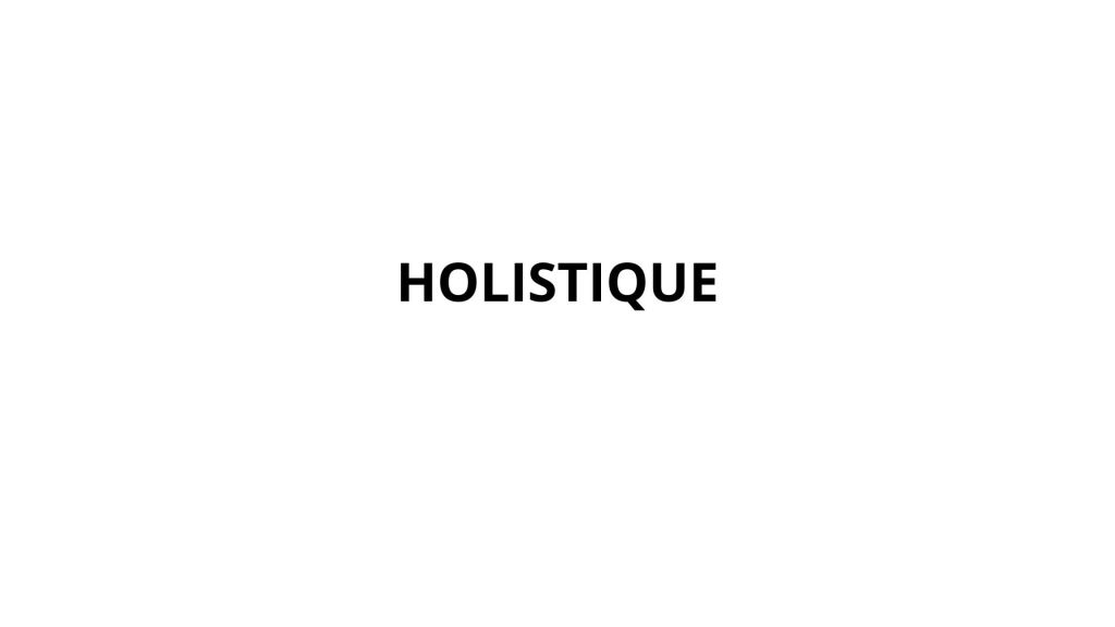 Holistique (Suite de) Mon florilège de mots soutenus ou rares pour décrire les profils, compétences et comportements en&nbsp;entreprise